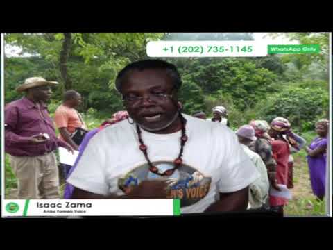 Southern Cameroonian Tomato Farmers after Independence within the Context of Free Trade – Part 2