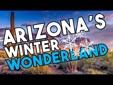 Arizona Winter Wonderland: Top Things to Do in Phoenix Arizona