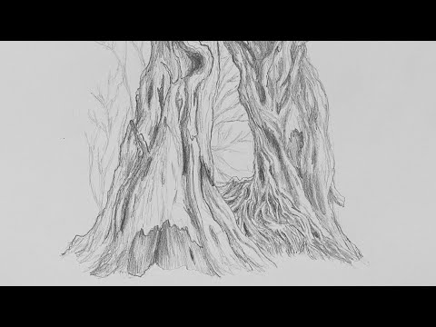 Drawing my favorite thing; a tree. (Pencil Sketch)