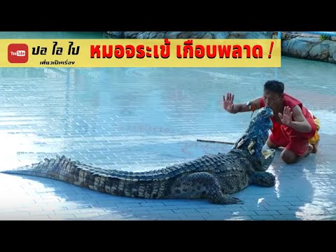 หมอจระเข้โชว์เกือบพลาด โครตเสียวอย่างฮา   / Warriors Crocodile Show Thailand