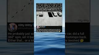 More Questions Than Answers Were Left by the Snow
