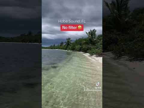 High tide at the Hobe Sound Nature Center Beach