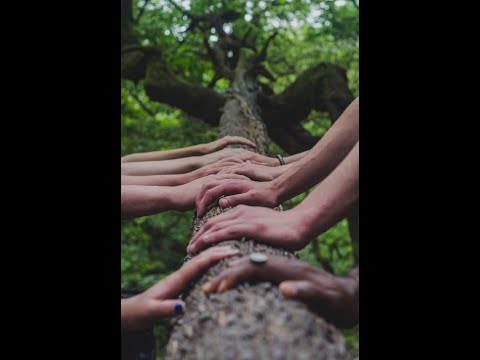 Social Determinants of Resilience