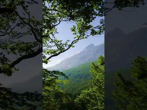 Asthetic 🥰 Love Nature Status | Trending peaceful status | @Ronit_Editography | #nature #viralshort