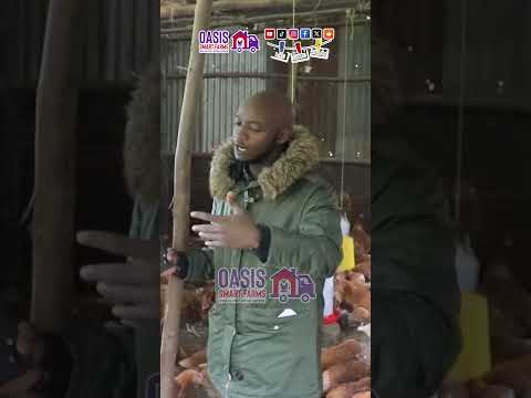 Smart Farmer 7