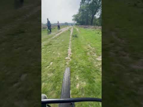 Karen’s at Richmond park called me an asshole 😂