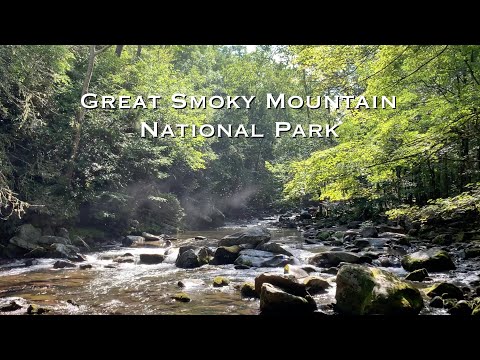 Great Smokey Mountain National Park - August 2020