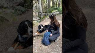 5 hiking gear items I bring on every hike with my dog! 🐶🌲🏔️ #dogshorts #adventuredog #hikingdog