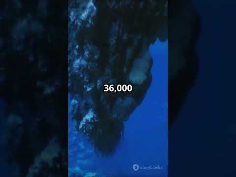 Ocean Secrets  70% of Earth Unveiled!