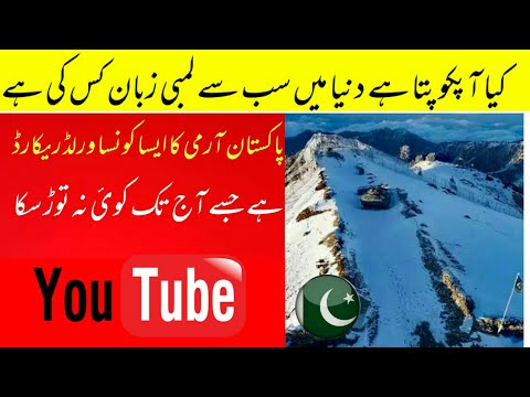 10 Facts of the World | Dunia ki 10 information wali cheezain