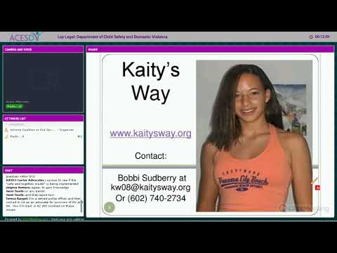 Lay Legal Webinar: Department of Child Safety and Domestic Violence