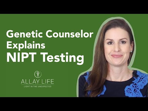 What is NIPT Testing in Pregnancy? | Genetic Counselor Explains