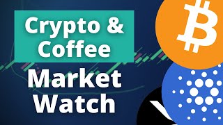 Bulls Are Back On The Menu Boys! | Crypto and Coffee