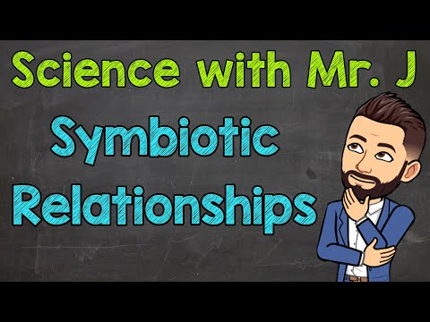Symbiotic Relationships | Mutualism, Commensalism, & Parasitism