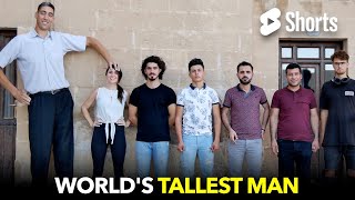 World's Tallest Man  #12