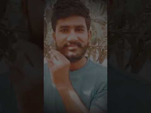 इन सबका हिसाब होई एक दिन !!!   #video #shorts #reels #dog #attitude #viral #status