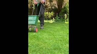 Results are amazing! #gardening #lawncare #smallbusiness #nature #gardener #shorts #shockingresults