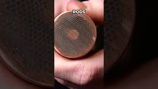 We Made A Ring Out Of Superconductor