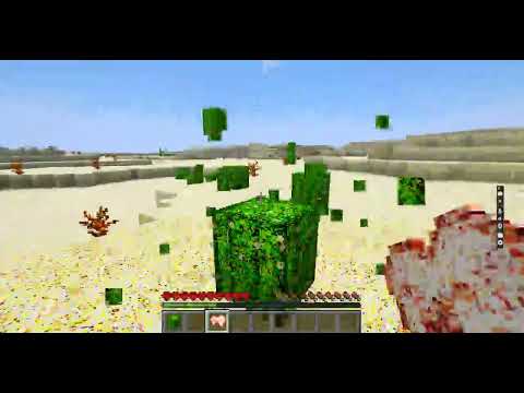 my minecwaft is crazy bruh..