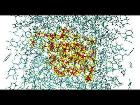 Molecular dynamics of polymer-like MoS5 chain
