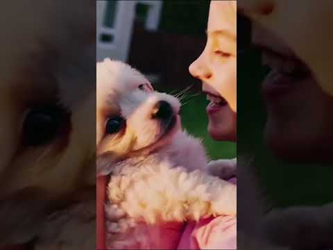 🌿🐶 Feel the warmth and happiness with us!”#NatureVibes #HappyTimes #DogCompanion #BeautifulDay