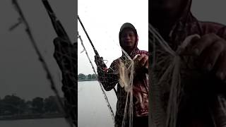 Terbukti ampuh mancing jaring kolong #fishing