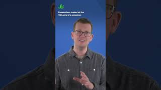 How Did Tuberculosis Get So Bad? #science #scishow #tuberculosis #health