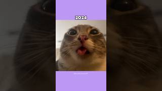 The Most Legendary Cat Memes (then vs now) #shorts