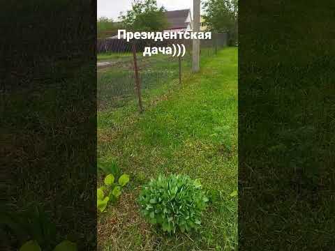 дача