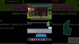 how to copy scriptnokey.com  hoho hub scriprt no key blox fruit download copy