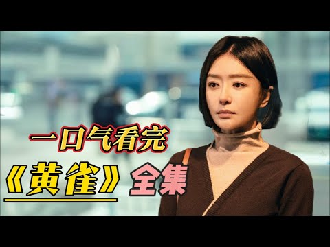 一口氣看完《黃雀》高質量級別仙人跳，真的沒有哪個男人能經得住考驗！