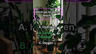 "Test Your Knowledge! 🤔💡 | Quick Quiz Challenge 🧠✨"  #quiz #thinkfast #trivia