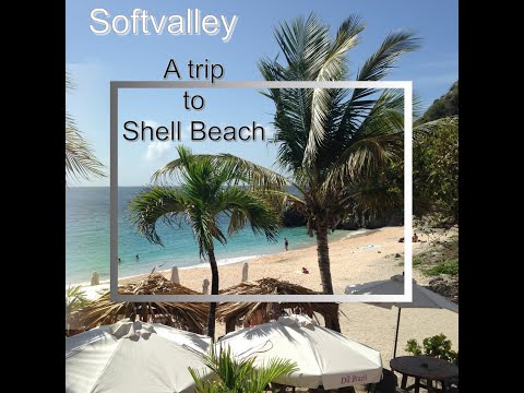 Softvalley - A trip to shell beach