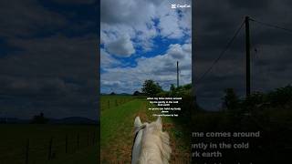 hacking out w this cutie full video coming out tomorrow! 💛 #hackingout #horse#equestrian#edit#vlog