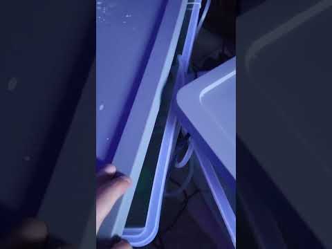 qt, pbt improving and ammonia finally down