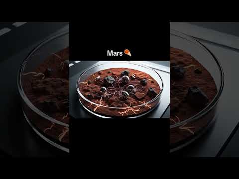 aivideo l #shortsfeed #shorts #trendingshorts #viralvideo