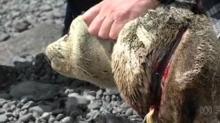 El SDDR, la mejor arma contra los residuos marinos