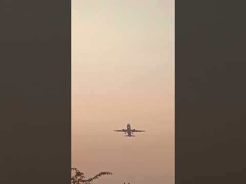 Flight take on
