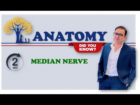 MEDIAN NERVE_2 MINUTES REVISION SERIES