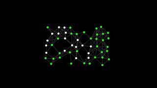 Graph Depth-First Search