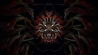 Beautiful Lotus Mandala Patterns VJ Loops #mandala #vjloops #abstract #viral