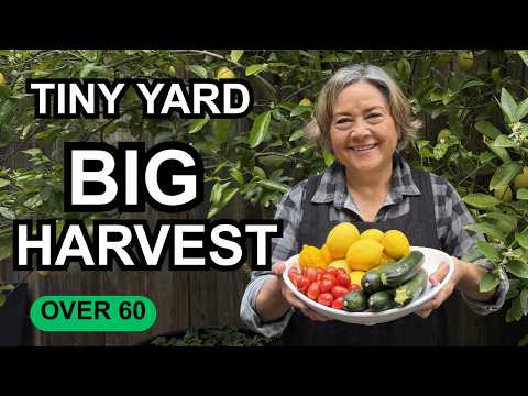 I Turned My Front Yard Into a Food Garden at 60 (NO Digging Required)