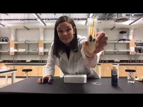 Enzymes in Spit - UCCS Biochemistry - 2020 Cool Science Festival