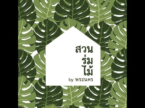 Bue VLOG SuanRomMai Chantaburi