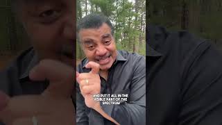 LED Bulbs vs  Old Bulbs 💡 #shorts #neildegrassetyson #quickscience #scienceshorts #sciencefacts