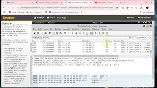 Analyze a DoS Attack