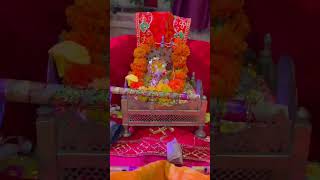 श्री कृष्णा जन्माष्टमी समारोह ठाकुर जी मंदिर बजावा #जन्माष्टमी #radheradhenaam#वृंदावन #वृंदावनलाइव