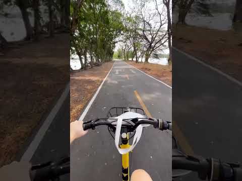 Eat, travel, work balance #bangkok #thailand #food #travel