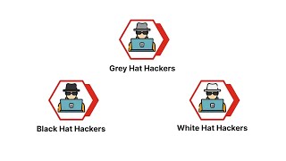 What is Hacking? Types of Hacking & More