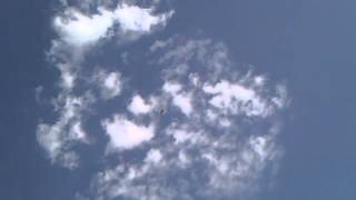 F-22 Raptor RC Jet First Flight